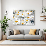Canvas wall art of a blooming white daisy flower field, perfect for fresh and natural interior styling in homes and offices